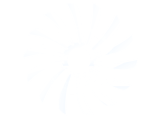 PANDORA Project Logo
